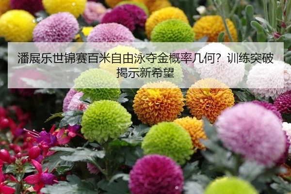 潘展乐世锦赛百米自由泳夺金概率几何？训练突破揭示新希望