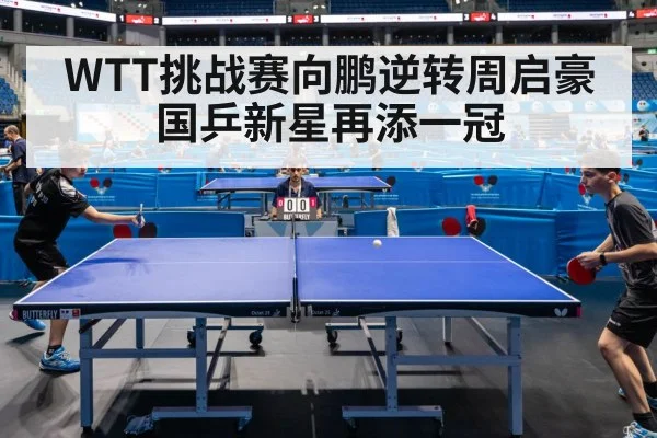 WTT挑战赛向鹏逆转周启豪 国乒新星再添一冠