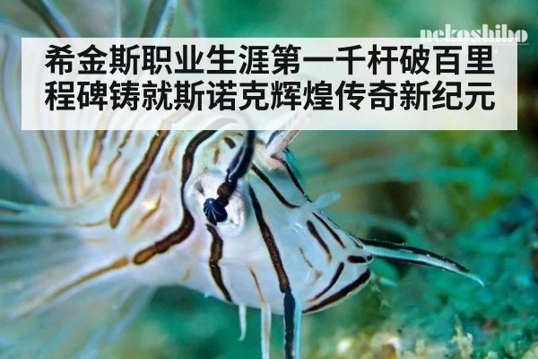 希金斯职业生涯第一千杆破百里程碑铸就斯诺克辉煌传奇新纪元